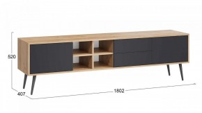 Тумба под ТВ Тип 5 в Верхней Салде - verhnyaya-salda.mebel24.online | фото 6