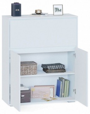 Тумба СПМ-310 в Верхней Салде - verhnyaya-salda.mebel24.online | фото 2