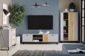 Тумба ТВА НМ 014.46 "Бруно" в Верхней Салде - verhnyaya-salda.mebel24.online | фото 3