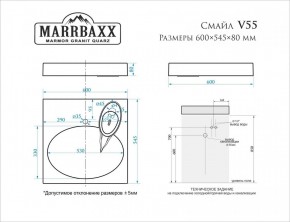 Умывальник над стиральной машиной (600*545*80) Смайл V55D1 (белый) с кронштейном без сифона (V55D1) в Верхней Салде - verhnyaya-salda.mebel24.online | фото 2