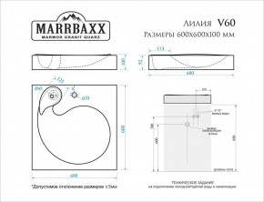 Умывальник над стиральной машиной (600*600х100) Лилия V60 (белый) с кронштейном без сифона (V60) в Верхней Салде - verhnyaya-salda.mebel24.online | фото 2